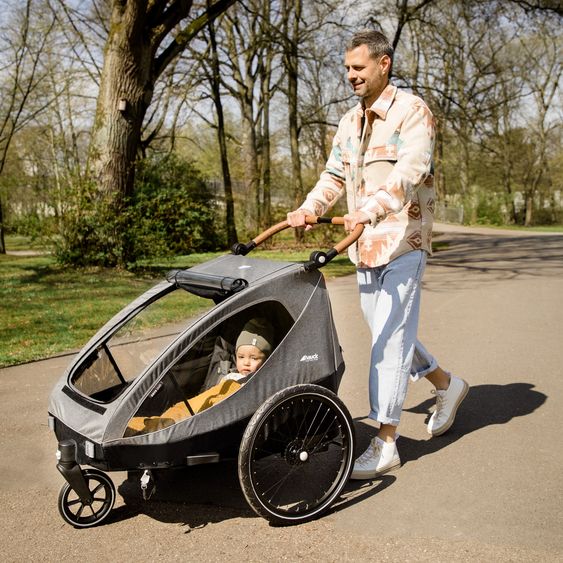 Hauck 2in1 Fahrradanhänger Dryk Duo für 2 Kinder (bis 44 kg) - Bike Trailer & City Buggy - Melange Grey