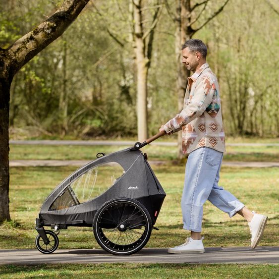 Hauck 2in1 Fahrradanhänger Dryk Duo für 2 Kinder (bis 44 kg) - Bike Trailer & City Buggy - Melange Grey