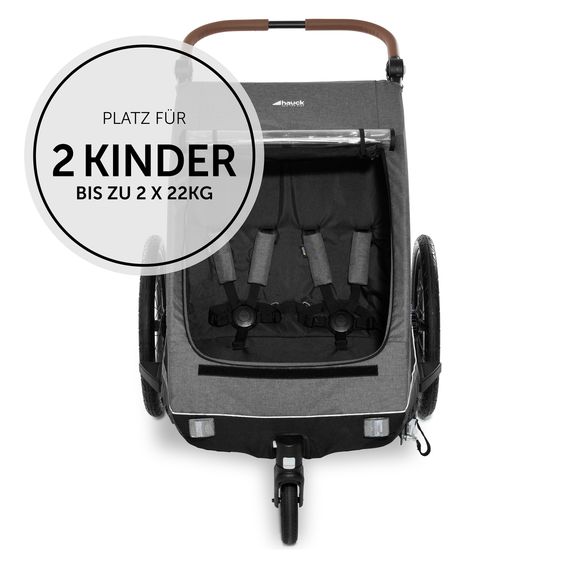 Hauck 2in1 Fahrradanhänger Dryk Duo für 2 Kinder (bis 44 kg) - Bike Trailer & City Buggy - Melange Grey