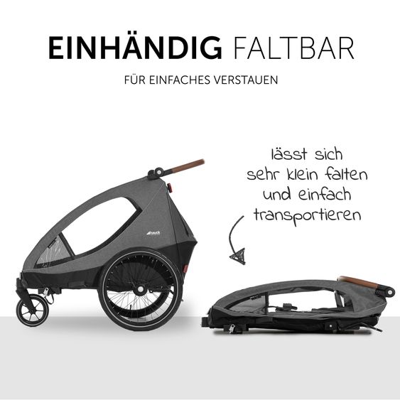 Hauck 2in1 Fahrradanhänger Dryk Duo für 2 Kinder (bis 44 kg) - Bike Trailer & City Buggy - Melange Grey