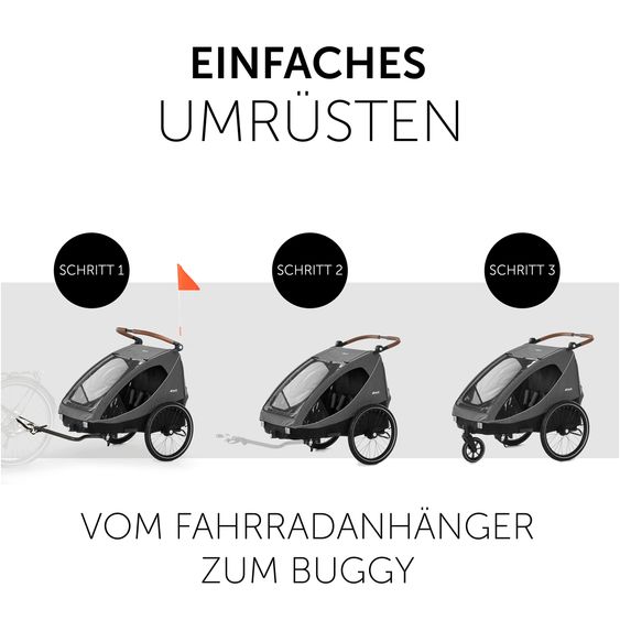 Hauck 2in1 Fahrradanhänger Dryk Duo für 2 Kinder (bis 44 kg) - Bike Trailer & City Buggy - Melange Grey