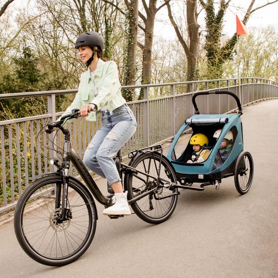 Hauck 2in1 Fahrradanhänger Dryk Duo für 2 Kinder (bis 44 kg) - Bike Trailer & City Buggy - Ocean Green