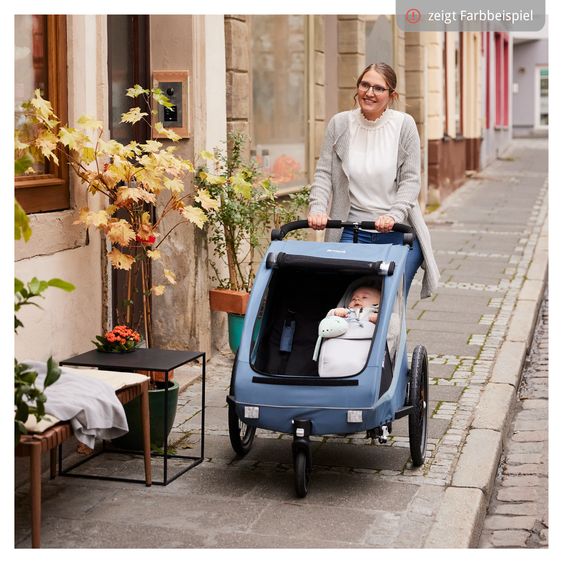 Hauck 2in1 Fahrradanhänger Dryk Duo Plus für 2 Kinder (bis 44 kg) - Bike Trailer & City Buggy - Black