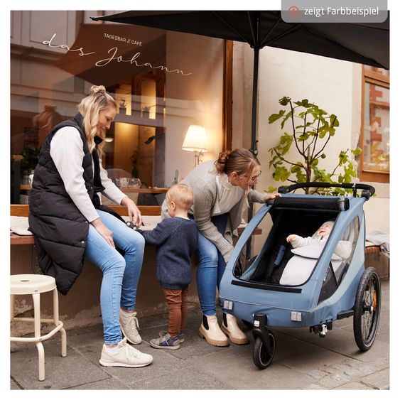 Hauck 2in1 Fahrradanhänger Dryk Duo Plus für 2 Kinder (bis 44 kg) - Bike Trailer & City Buggy - Black