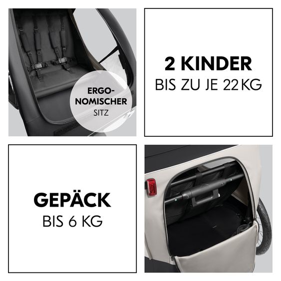 Hauck 2in1 Fahrradanhänger Dryk Duo Plus für 2 Kinder (bis 44 kg) - Bike Trailer & City Buggy - Black