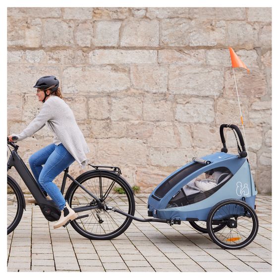 Hauck 2in1 bike trailer Dryk Duo Plus for 2 children (up to 44 kg) - Bike Trailer & City Buggy - Dark Blue