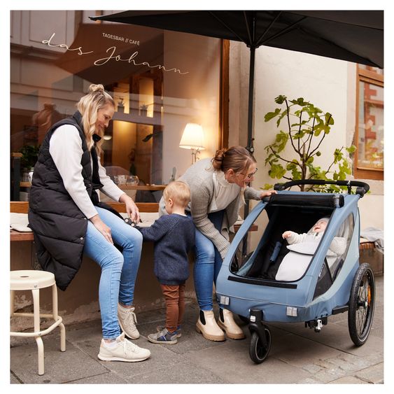 Hauck 2in1 bike trailer Dryk Duo Plus for 2 children (up to 44 kg) - Bike Trailer & City Buggy - Dark Blue