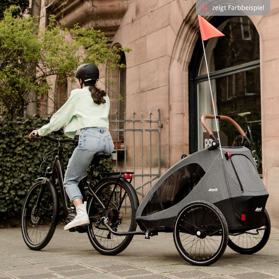 Hauck Set risparmio 2in1 Rimorchio bici Dryk Duo - per 2 bambini (fino a 44 kg) - Rimorchio bici & Passeggino cittadino - incl. 2 cuscini per sedile - Grigio