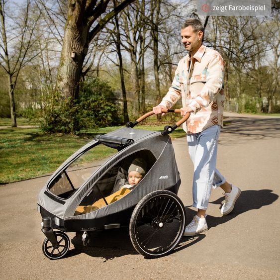 Hauck Set risparmio 2in1 Rimorchio bici Dryk Duo - per 2 bambini (fino a 44 kg) - Rimorchio bici & Passeggino cittadino - incl. 2 cuscini per sedile - Grigio