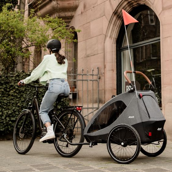 Hauck Set risparmio 2in1 Rimorchio bici Dryk Duo - per 2 bambini (fino a 44 kg) - Rimorchio bici & Passeggino cittadino - incl. 2 cuscini per sedile - Melange Grigio