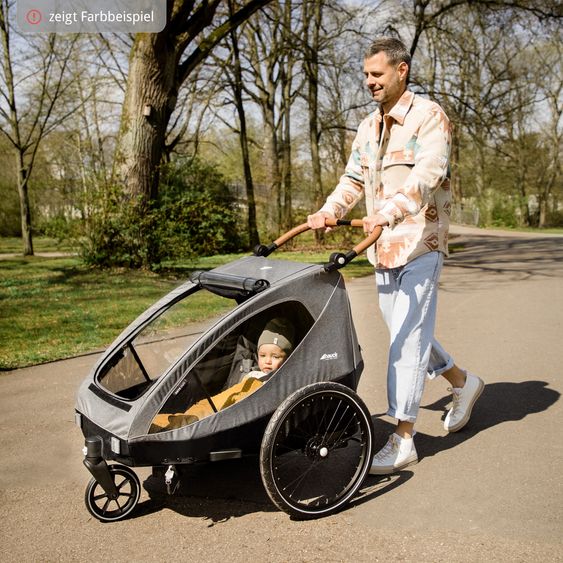 Hauck Set risparmio 2in1 Rimorchio bici Dryk Duo - per 2 bambini (fino a 44 kg) - Rimorchio bici & Passeggino Leggero City - incl. Seggiolino auto Lounger - Grigio