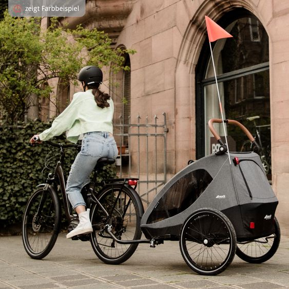 Hauck 2in1 bike trailer economy set Dryk Duo - for 2 children (up to 44 kg) - bike trailer & city buggy - incl. baby seat lounger & protection package - Grey