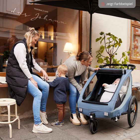 Hauck 2in1 Fahrradanhänger Sparset Dryk Duo Plus - für 2 Kinder (bis 44 kg) - Bike Trailer & City Buggy - inkl. Babysitz Lounger & Schutzpaket - Black