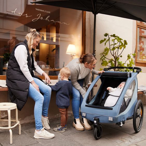 Hauck 2in1 Fahrradanhänger Sparset Dryk Duo Plus - für 2 Kinder (bis 44 kg) - Bike Trailer & City Buggy - inkl. Babysitz Lounger & Schutzpaket - Dark Blue