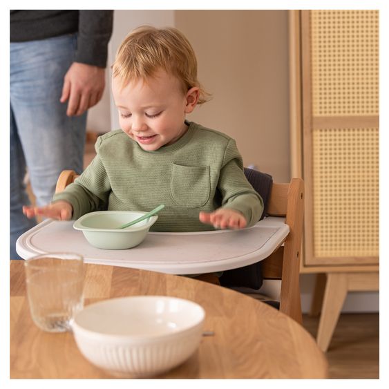 Hauck Set risparmio 3 pz Alpha Plus - Seggiolone + Seggiolino per neonati + Vassoio per pasti - Natur