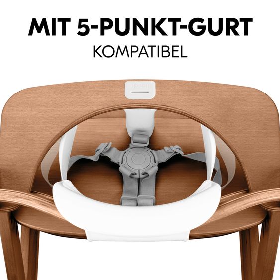 Hauck Set Économique Alpha Plus 3 Pièces - Chaise Haute + Siège Bébé + Plateau Repas - Noix