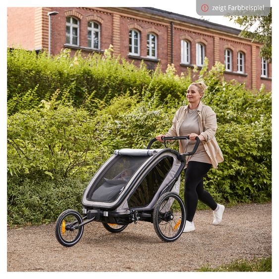 Hauck Rimorchio bici 3in1 Bike N Walk Duo per 2 bambini (fino a 44 kg) - Rimorchio bici, passeggino e jogger - Verde scuro