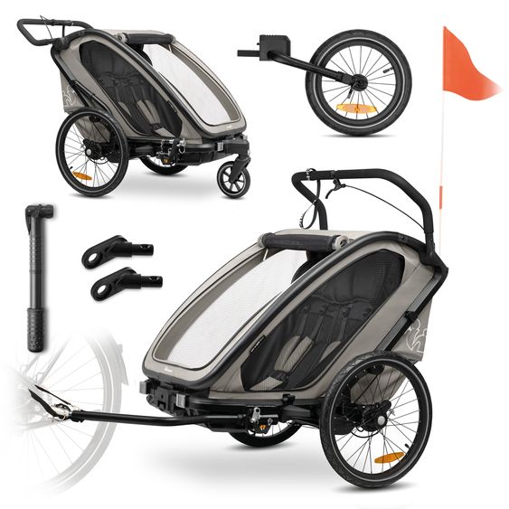 Hauck 3in1 Fahrradanhänger Bike N Walk Duo für 2 Kinder (bis 44 kg) - Bike Trailer, City Buggy & Jogger - Light Grey