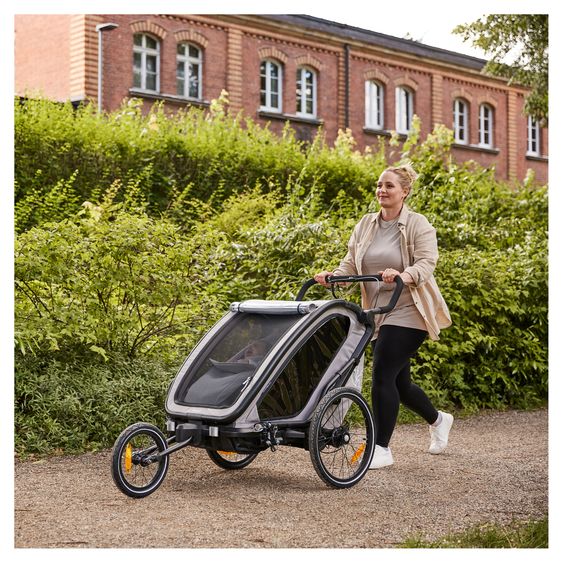 Hauck 3in1 Fahrradanhänger Bike N Walk Duo für 2 Kinder (bis 44 kg) - Bike Trailer, City Buggy & Jogger - Light Grey