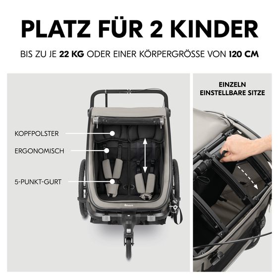 Hauck 3in1 Fahrradanhänger Bike N Walk Duo für 2 Kinder (bis 44 kg) - Bike Trailer, City Buggy & Jogger - Light Grey