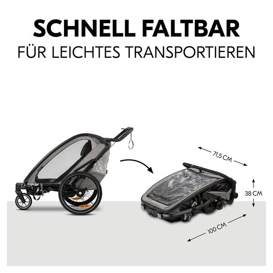 Hauck 3in1 Fahrradanhänger Bike N Walk Duo für 2 Kinder (bis 44 kg) - Bike Trailer, City Buggy & Jogger - Light Grey