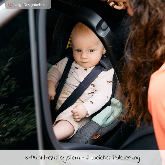 Hauck Set passeggino 3in1 Comfort N Care Trio Set - incl. Seggiolino auto per neonati i-Size Tulip - Nero