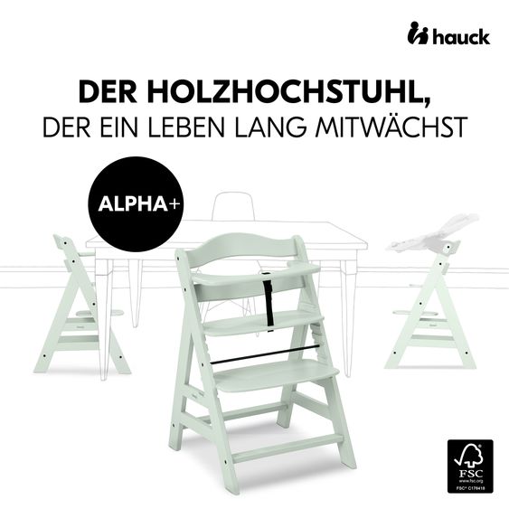 Hauck 4-pcs Alpha Plus Newborn Set High Chair + Bouncer 2in1 in Dark Grey Melange + Seat Cushion in Jersey Charcoal - Mint