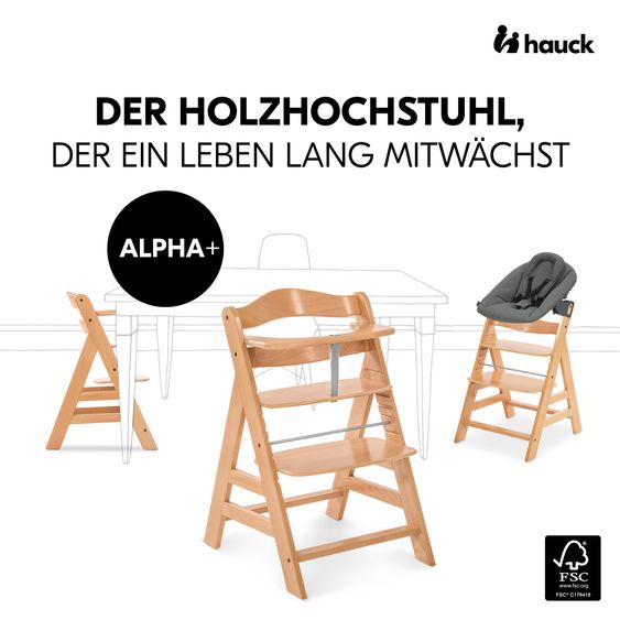 Hauck 4-pc Alpha Plus Newborn Set - High Chair + Bouncer 2in1 in Dark Grey + Deluxe Seat Cushion in Melange Charcoal - Natural