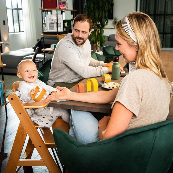 Hauck 4-pc Alpha Plus Newborn Set - High Chair + Bouncer 2in1 in Dark Grey + Deluxe Seat Cushion in Melange Charcoal - Natural