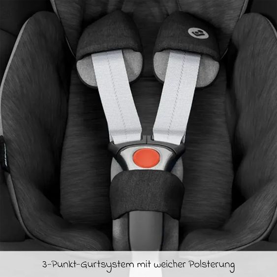Hauck 4in1 Kinderwagen-Set Move N Care Trio Set inkl. Maxi-Cosi i-Size Pebble Pro & Isofix-Basis FamilyFix3 & XXL Zubehörset - Mocha