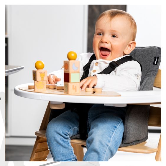 Hauck Set Newborn Alpha Plus 5 pz. - Seggiolone + Dondolo 2in1 Premium in Dark Grey + Alpha Tray Tavoletta per Pasti + Riduttore in Jersey Charcoal + Cuscino per Seduta in Melange Charcoal - Grigio