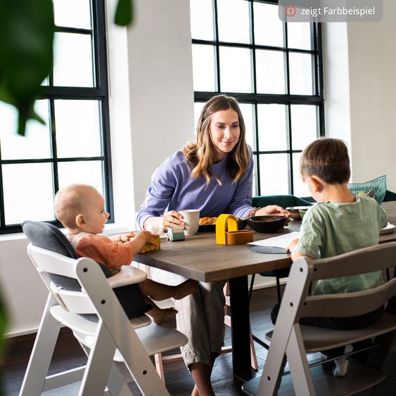 Hauck Set Newborn Alpha Plus 5 pz. - Seggiolone + Dondolo 2in1 Premium in Dark Grey + Alpha Tray Tavoletta per Pasti + Riduttore in Jersey Charcoal + Cuscino per Seduta in Melange Charcoal - Grigio