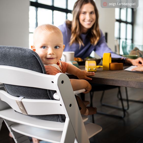 Hauck Set Newborn Alpha Plus 5 pz. - Seggiolone + Dondolo 2in1 Premium in Dark Grey + Alpha Tray Tavoletta per Pasti + Riduttore in Jersey Charcoal + Cuscino per Seduta in Melange Charcoal - Grigio