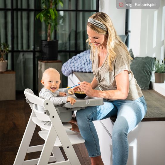 Hauck Set Newborn Alpha Plus 5 pz. - Seggiolone + Dondolo 2in1 Premium in Dark Grey + Alpha Tray Tavoletta per Pasti + Riduttore in Jersey Charcoal + Cuscino per Seduta in Melange Charcoal - Grigio