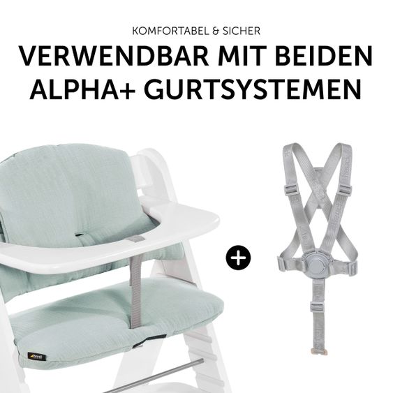 Hauck 5-tlg. Essbrett-Set für Alpha Plus - Click Tray + Sitzkissen + GRATIS 2x Silikon-Teller - Grey Muslin Mint