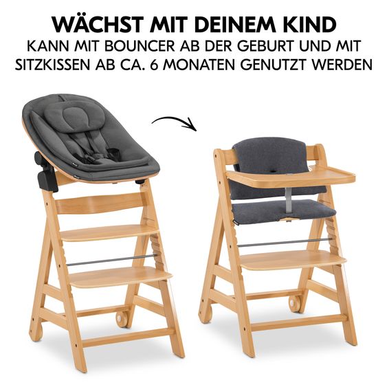 Hauck Alpha Move Set Nouveau-Né 5 Pièces - Chaise Haute + Adaptateur & Transat Eco + Plateau Repas + Coussin Dossier Deluxe - Gris Foncé - Nature