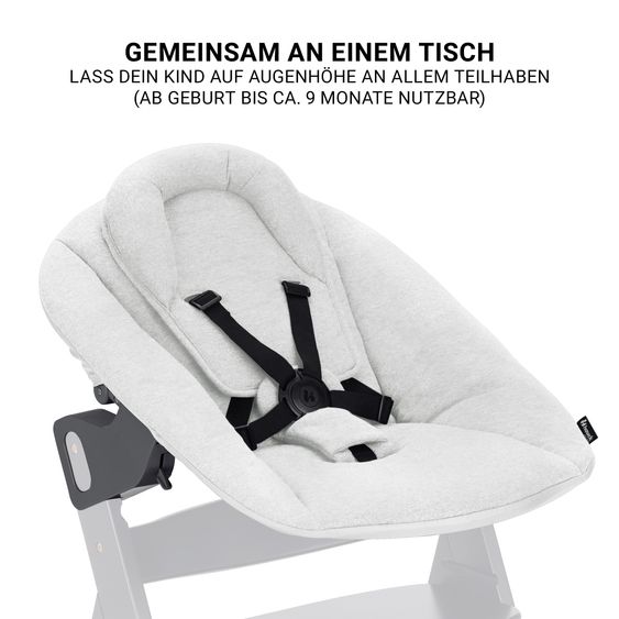 Hauck Alpha Move 5-tlg. Newborn Set - Hochstuhl + Aufsatz & Wippe Premium + Essbrett + Sitzkissen Deluxe - Light Grey - Natur