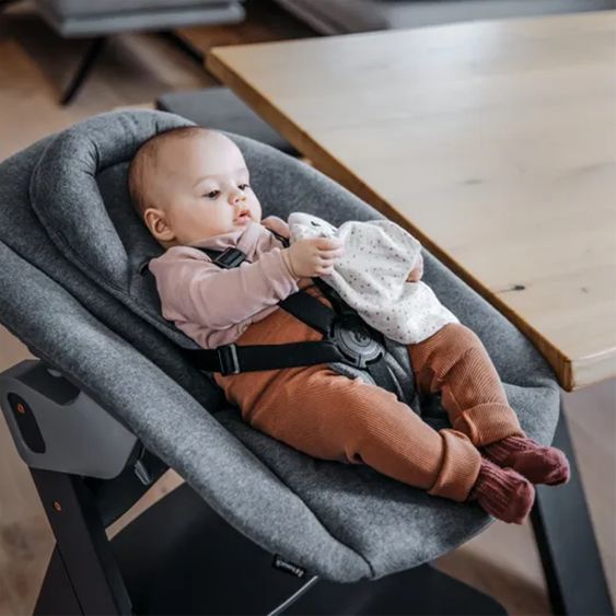 Hauck Alpha Move Natur 5-tlg. Newborn Set - Hochstuhl + 2in1 Neugeborenen-Aufsatz & Wippe + Essbrett + Hochstuhlauflage - Jersey Charcoal