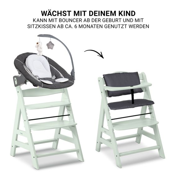 Hauck Alpha Plus 4-pcs Newborn Set - Highchair + 2in1 Newborn Attachment & Deluxe Rocker + Deluxe Seat Cushion - Mint
