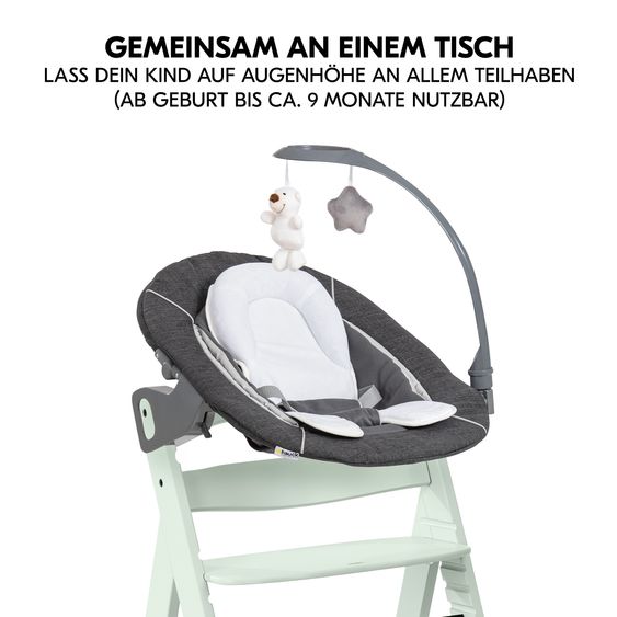 Hauck Alpha Plus 4-pcs Newborn Set - Highchair + 2in1 Newborn Attachment & Deluxe Rocker + Deluxe Seat Cushion - Mint
