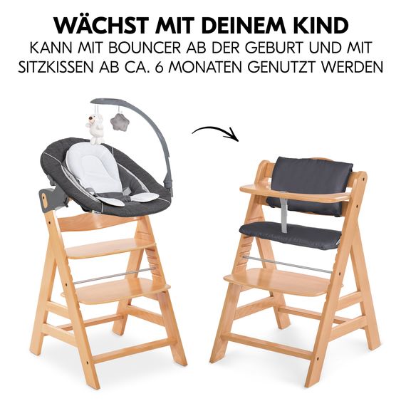 Hauck Alpha Plus 4-pcs Newborn Set - Highchair + 2in1 Newborn Attachment & Deluxe Rocker + Deluxe Seat Cushion - Nature