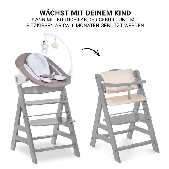 Hauck Alpha Plus 4-pc. Newborn Set - Highchair + 2in1 Newborn Insert & Deluxe Rocker + Deluxe Seat Cushion - Grey
