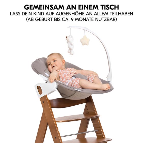 Hauck Alpha Plus Set Newborn 4 pz. - Seggiolone + 2in1 Riduttore Neonato & Dondolo Deluxe + Cuscino Deluxe - Sabbia - Noce