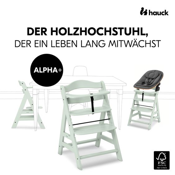 Hauck Alpha Plus 4-pcs Newborn Set - High chair + 2in1 newborn insert & rocker Eco + deluxe seat cushion - Mint