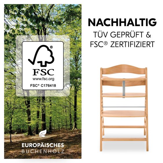 Hauck Alpha Plus Set Newborn 4 pz. - Seggiolone + 2in1 Riduttore Neonati & Dondolo Eco + Cuscino Deluxe - Deep Grey - Natur