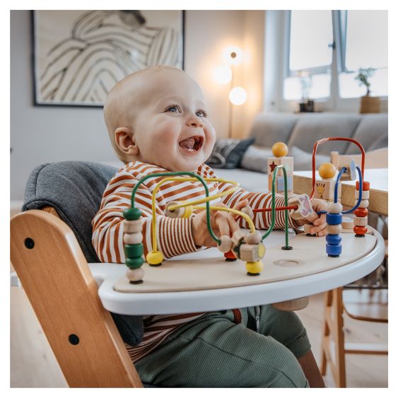 Hauck Alpha Plus Set Newborn 4 pz. - Seggiolone + 2in1 Riduttore Neonati & Dondolo Eco + Cuscino Deluxe - Deep Grey - Natur