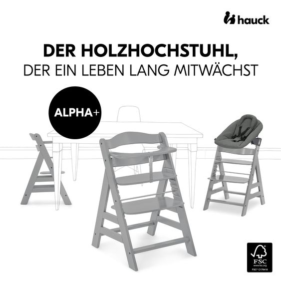 Hauck Alpha Plus 4-tlg. Newborn Set - Hochstuhl + 2in1 Neugeborenenaufsatz & Wippe Premium + Sitzkissen Deluxe - Dark Grey - Grey