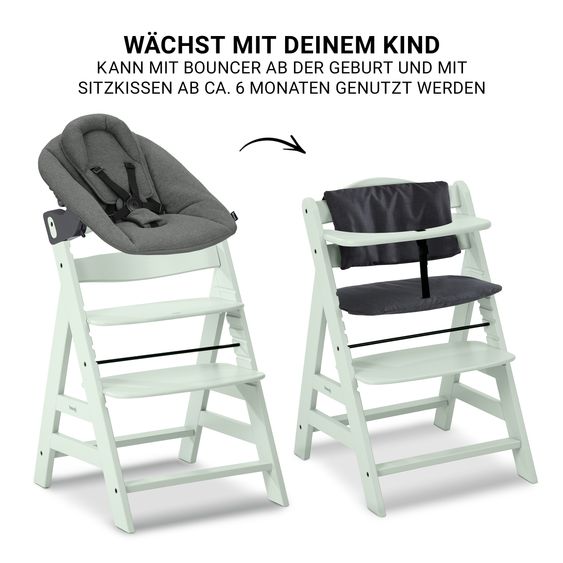 Hauck Alpha Plus 4-pcs Newborn Set - Highchair + 2in1 Newborn Insert & Rocker Premium + Seat Cushion Deluxe - Dark Grey - Mint
