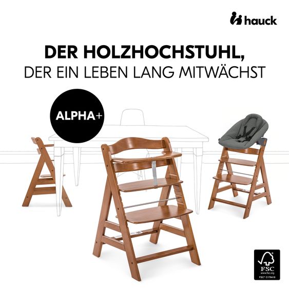 Hauck Alpha Plus Set Nouveau-Né 4 Pièces - Chaise Haute + 2in1 Adaptateur Nouveau-Né & Bascule Premium + Coussin De Siège Deluxe - Gris Foncé - Noix