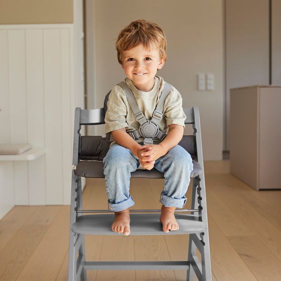 Hauck Alpha Plus 4-pc. Newborn Set - High Chair + 2in1 Newborn Attachment & Rocker Premium + Seat Cushion Deluxe - Grey